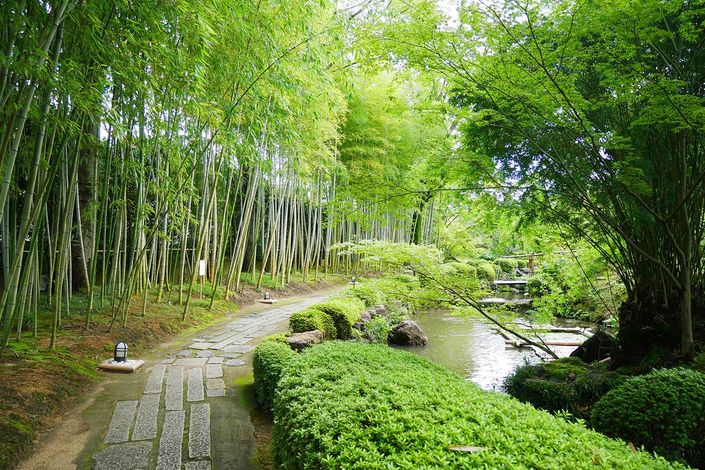 🖼️ 야와타 시립 송화당 정원・미술관(야와타 시리츠 쇼카도 테이엔・비주츠칸) 이미지 3